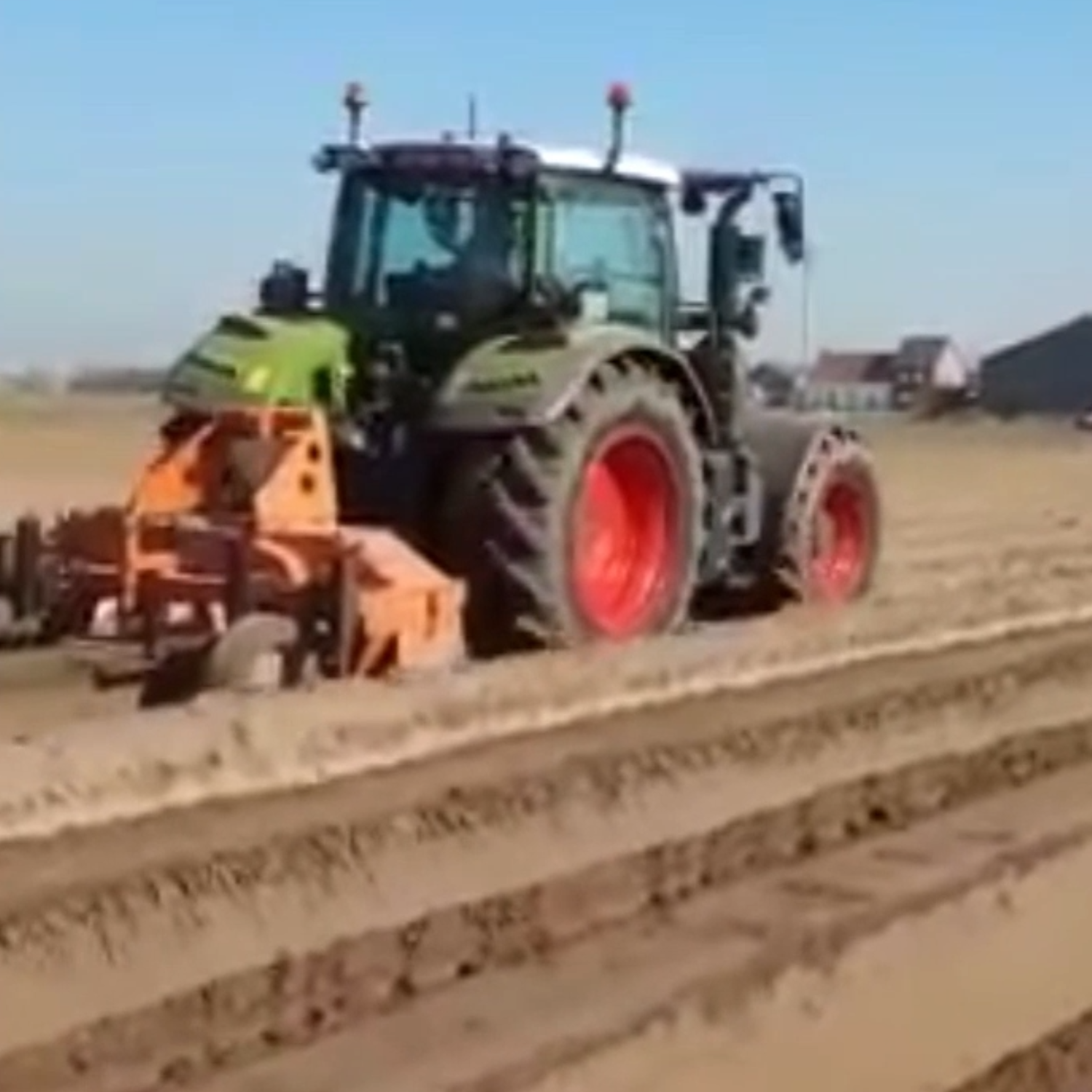 Aspergehoeve Bossuyt: Ambachtelijke Asperges uit België - Verse Asperges