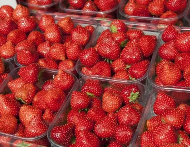 [00068] Aardbeien 500 gr