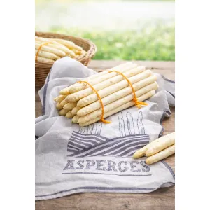Theedoek Asperge Dessin - 50 × 70 cm